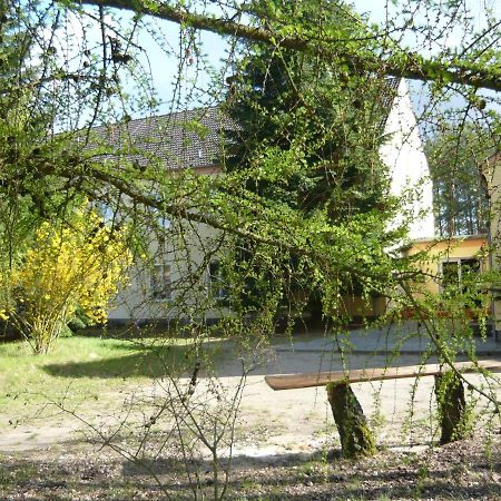 Suedseite Apartment Nossentiner Huette Bagian luar foto