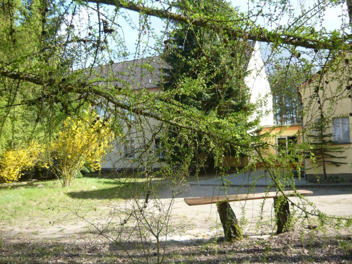 Suedseite Apartment Nossentiner Huette Bagian luar foto